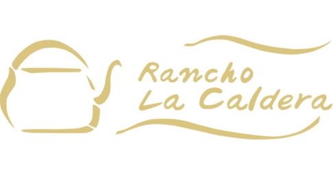 Logo Desktop